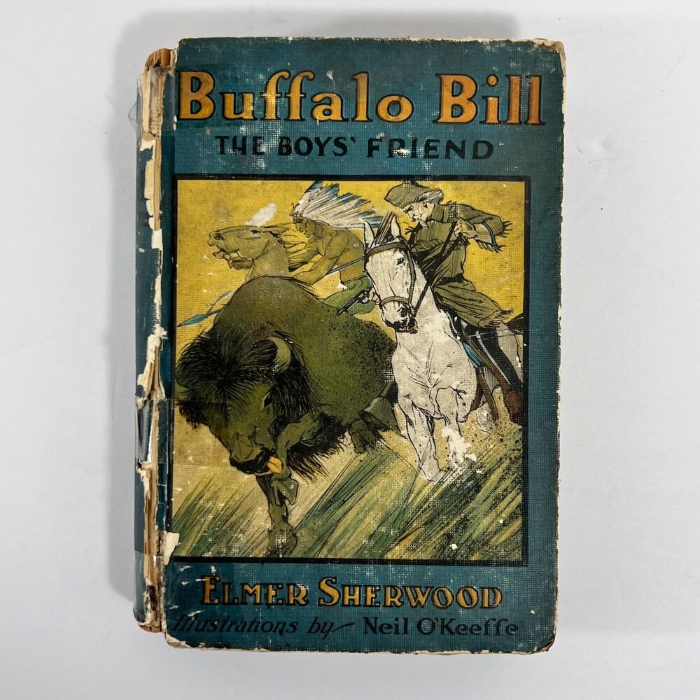 Buffalo Bill The Boys Friend Elmer Sherwood 1918 Antique Hardcover Whitman Book